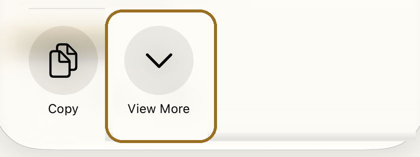 The bottom row of the share sheet, with View More marked.